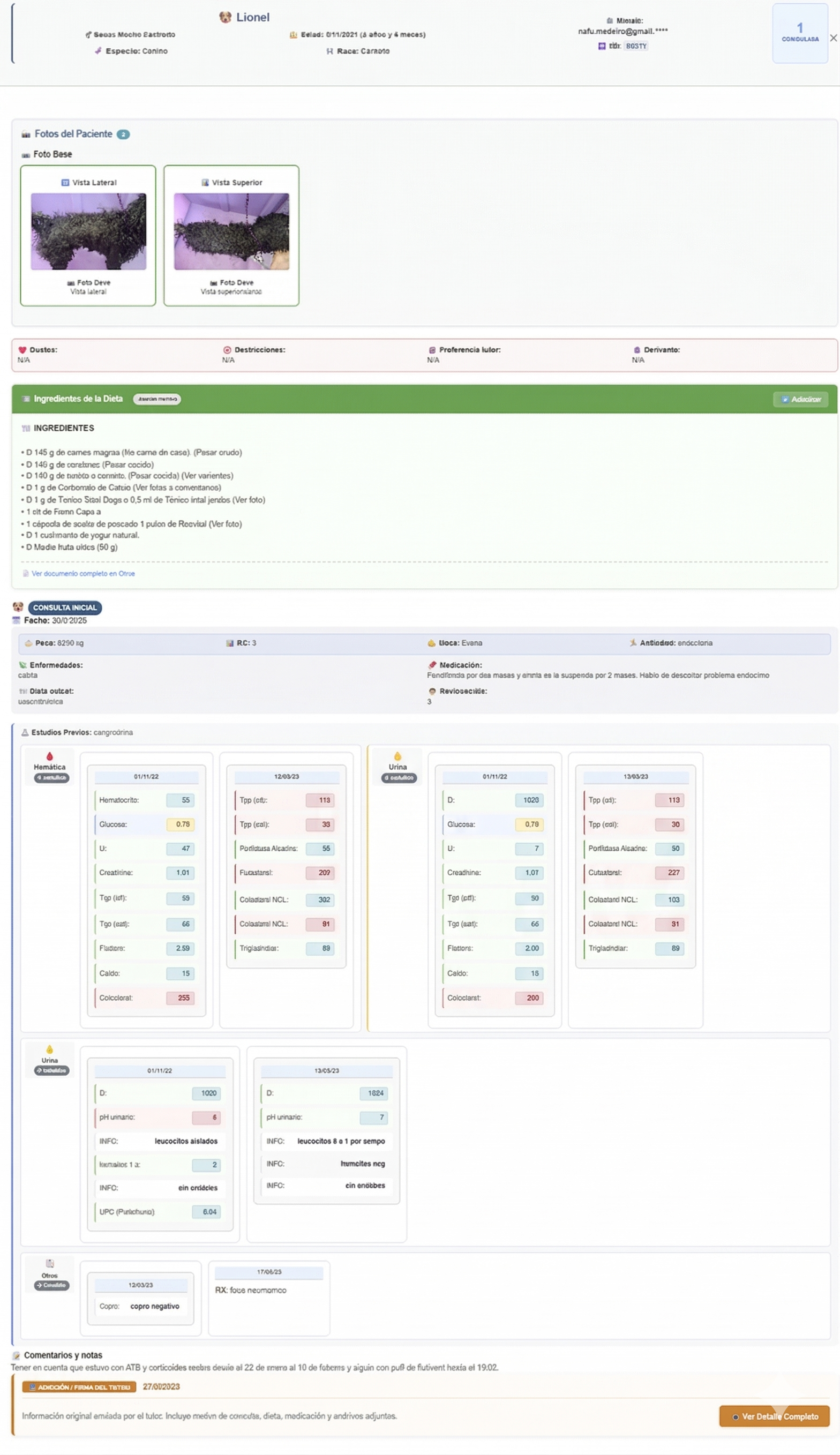 Historial de consultas y evolución